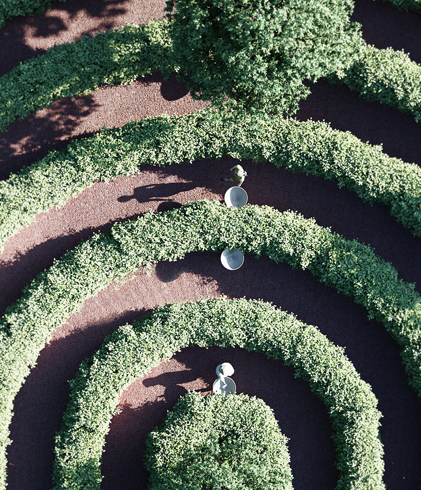 studio precht designs a fingerprint-shaped park for physical distancing