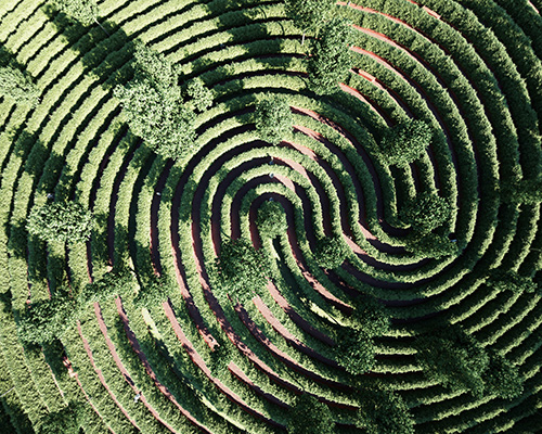 precht designs a fingerprint-shaped park for physical distancing