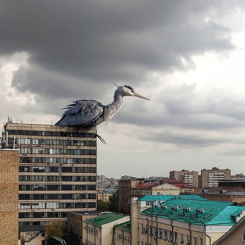 supersized animals take over the city in fantastical images by vadim solovyov designboom