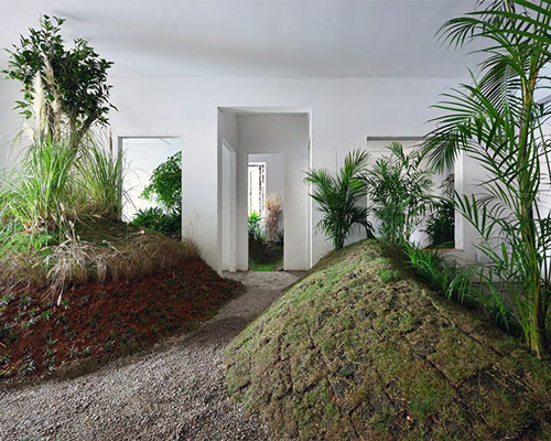 a 90 sqm rented apartment is converted into a park by DEVOLUTION