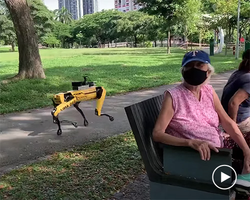 singapore deploys dog robots to remind people of safe distancing measures