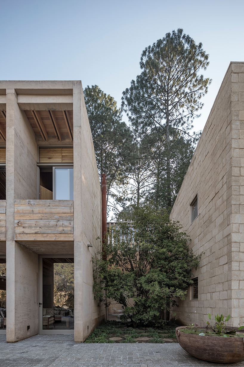 taller héctor barroso avandaro