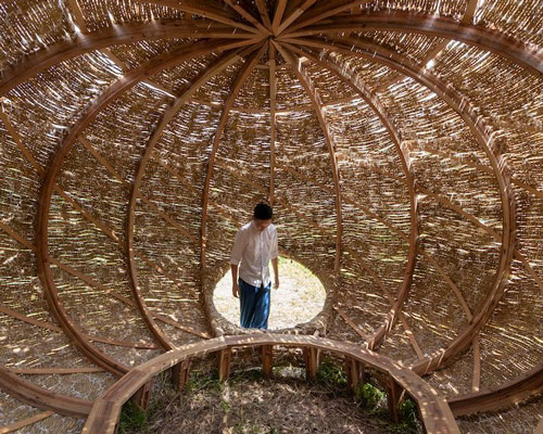 cheng tsung feng weaves rice straws to build an inhabitable 'tea nest' in taiwan