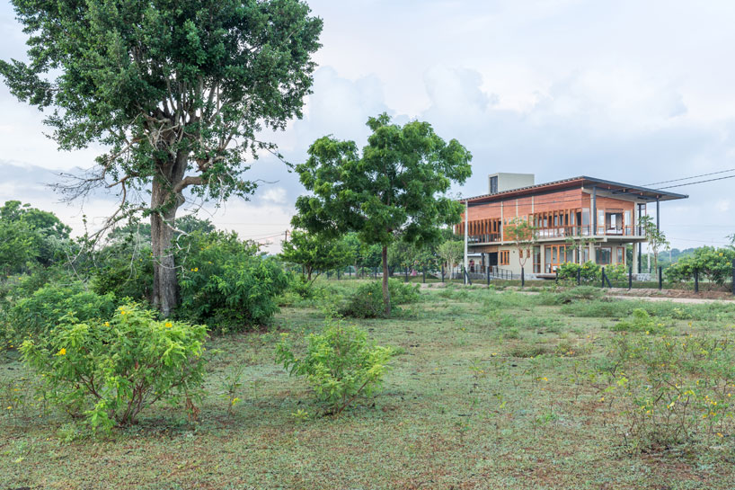 the tree tops wild life bungalow by chinthaka wickramage frames views in sri lanka designboom