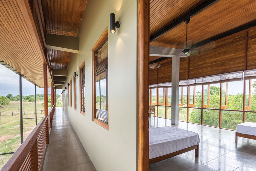 the tree tops wild life bungalow by chinthaka wickramage frames views in sri lanka designboom