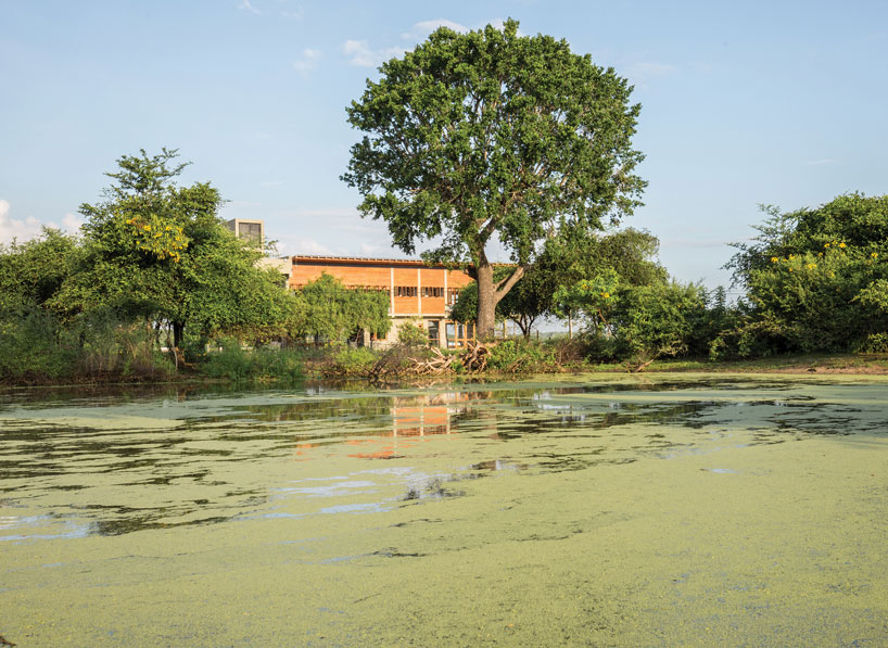 the tree tops wild life bungalow by chinthaka wickramage frames views in sri lanka designboom