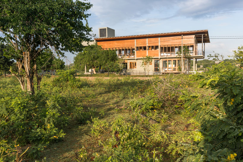 the tree tops wild life bungalow by chinthaka wickramage frames views in sri lanka designboom