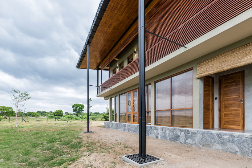 the tree tops wild life bungalow by chinthaka wickramage frames views in sri lanka designboom