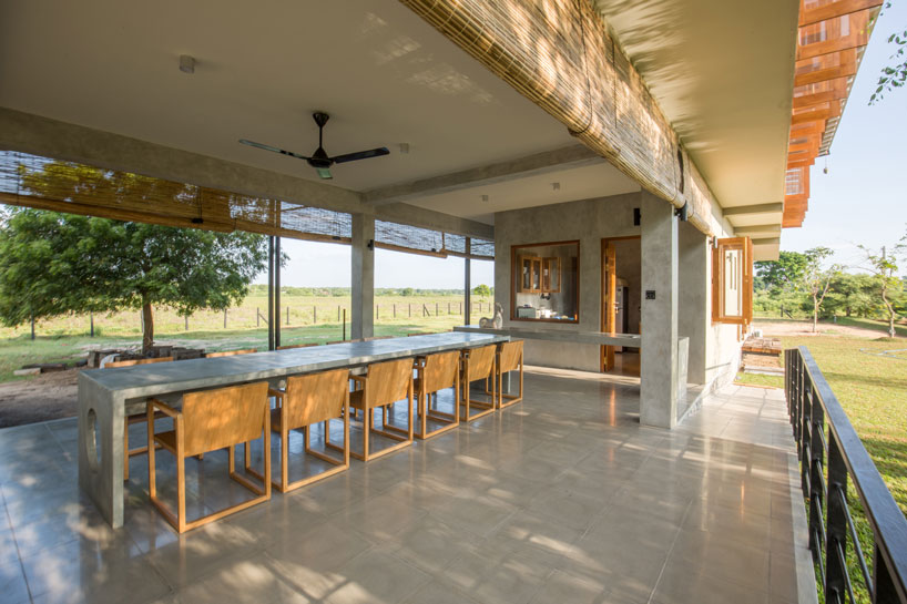 the tree tops wild life bungalow by chinthaka wickramage frames views in sri lanka designboom