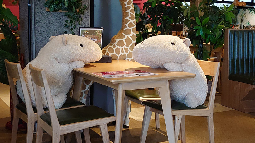 japanese zoo employs capybara stuffed animals to secure social distancing in its restaurant