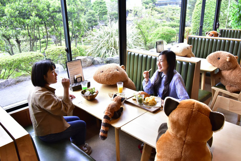 japanese zoo employs capybara stuffed animals to secure social distancing in its restaurant