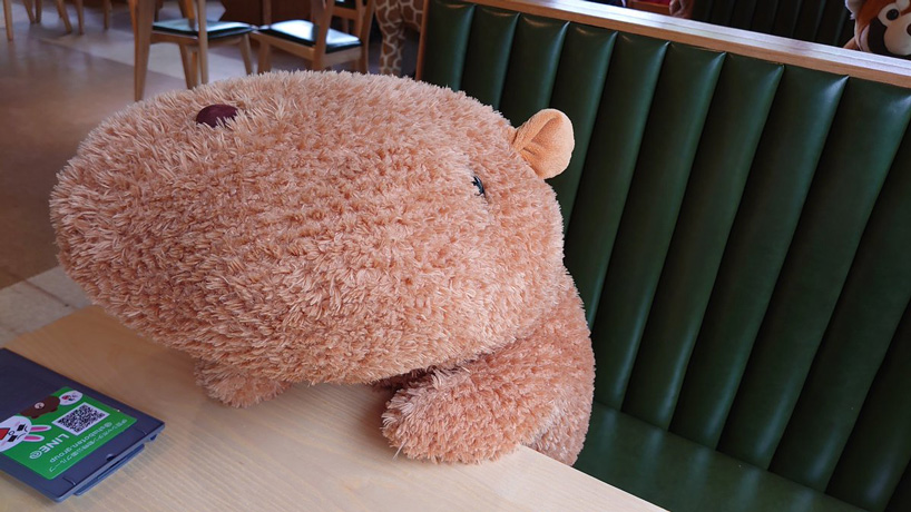 japanese zoo employs capybara stuffed animals to secure social distancing in its restaurant - 1