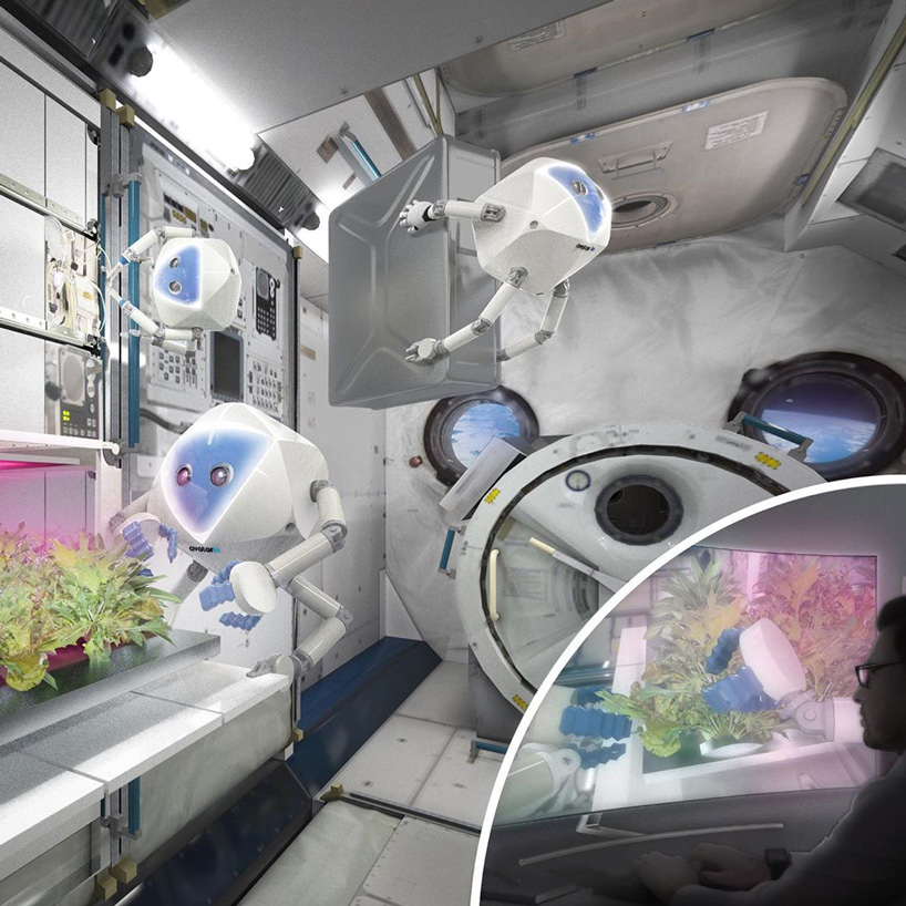 space avatar experience