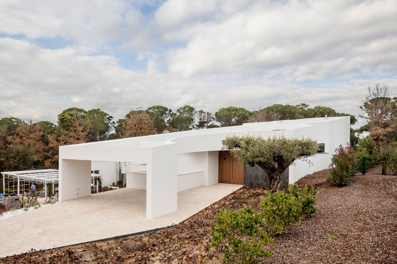 the wedged volume of lagula's 'gruyere house' optimizes both privacy and views in girona designboom