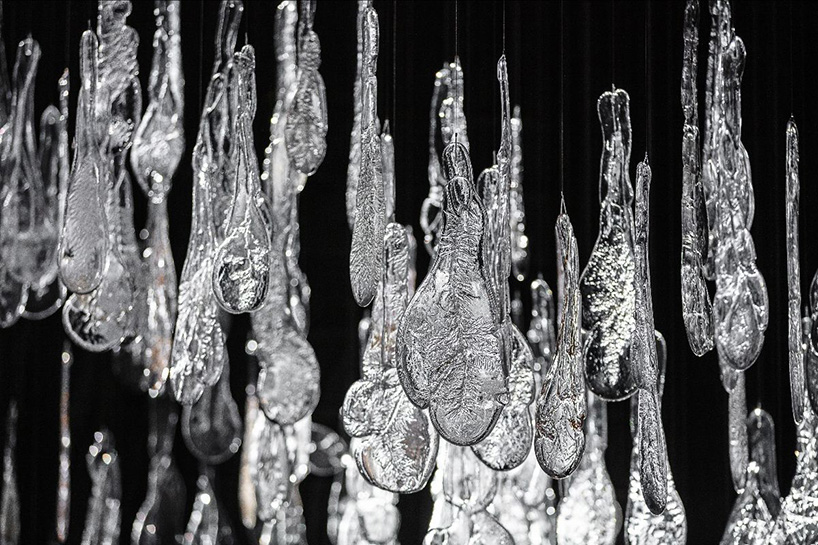 LASVIT breathes eternal life into nature by preserving flowers in glass