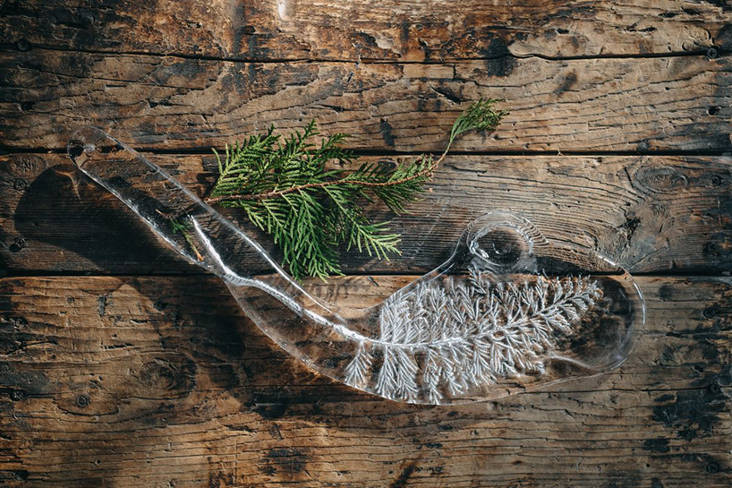 LASVIT breathes eternal life into nature by preserving flowers in glass