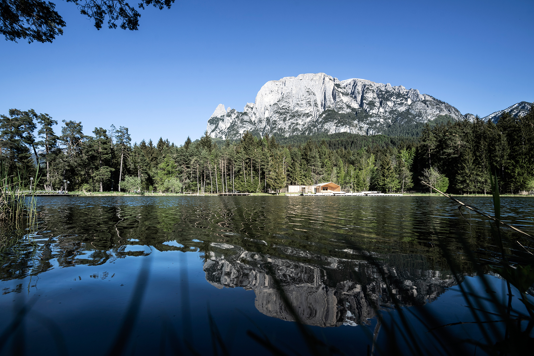 noa-network-architecture-lake-house-vols-designboom-011