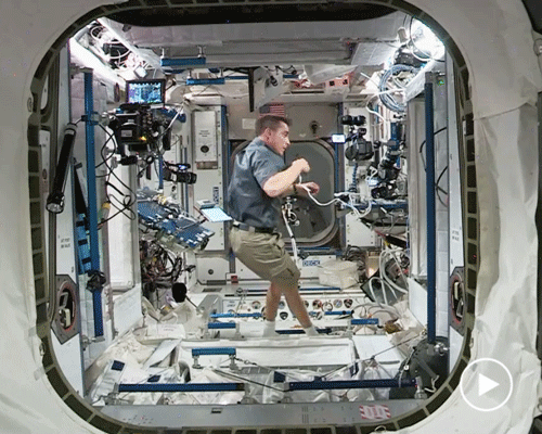 watch live: SpaceX + NASA astronauts successfully dock at the international space station