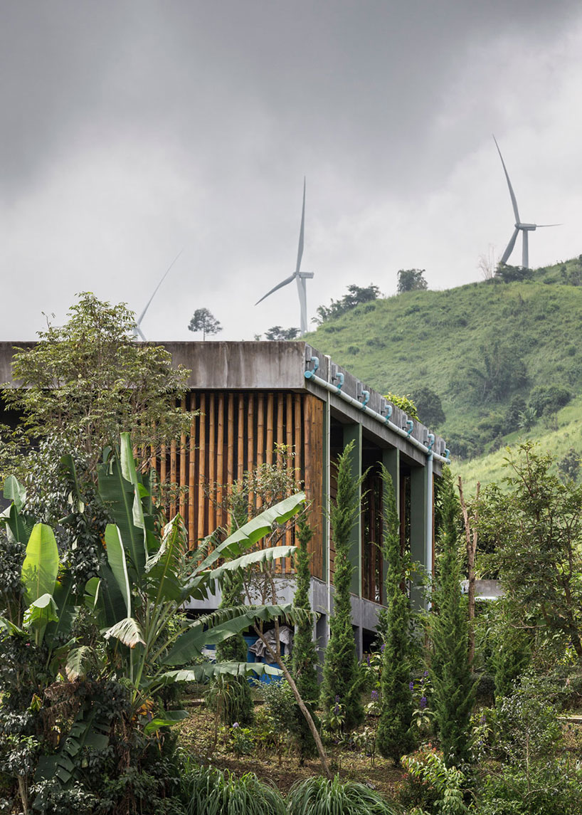 bamboo and concrete builds TOUCH architect's sustainable 'tree villa' in thailand designboom