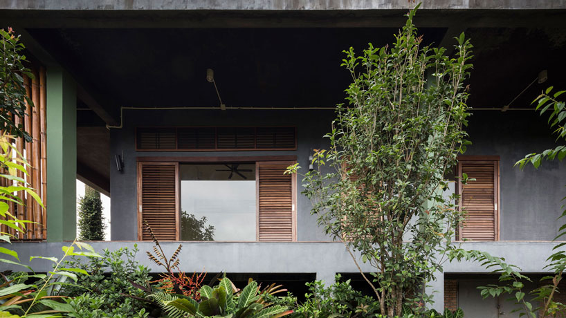 bamboo and concrete builds TOUCH architect's sustainable 'tree villa' in thailand designboom