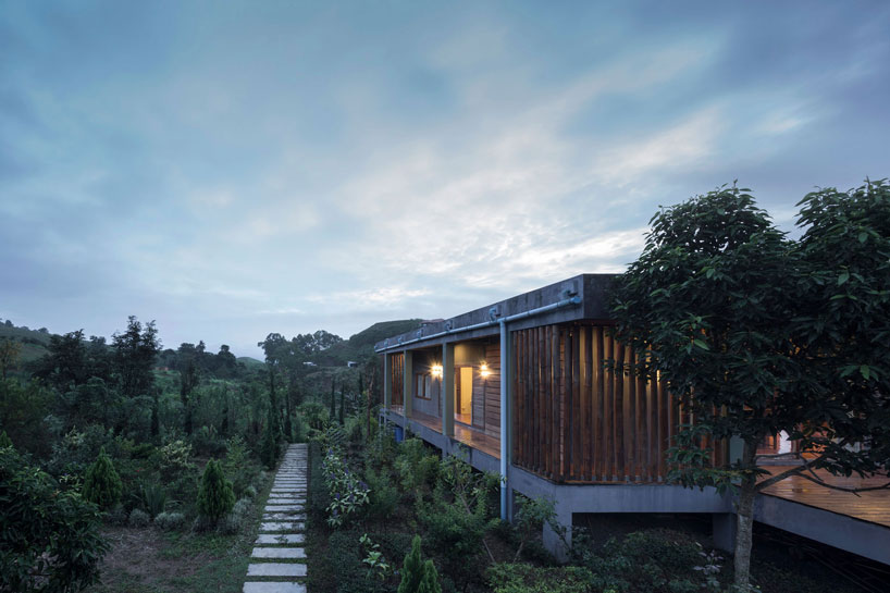 bamboo and concrete builds TOUCH architect's sustainable 'tree villa' in thailand designboom