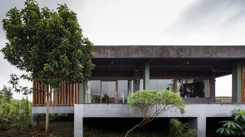 bamboo and concrete builds TOUCH architect's sustainable 'tree villa' in thailand designboom