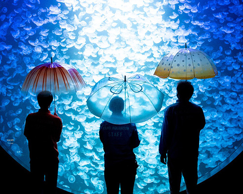 these umbrellas by YOU + MORE! reproduce the beauty of jellyfish