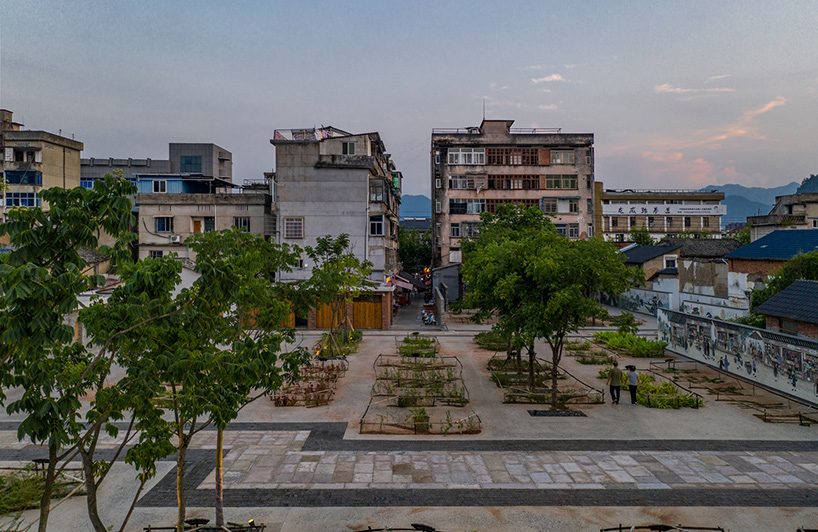 dna chinese herbal garden