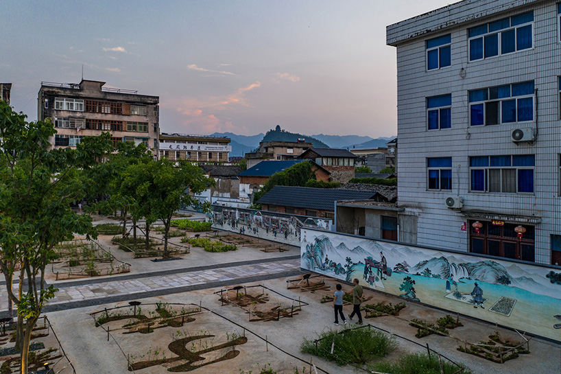 dna chinese herbal garden