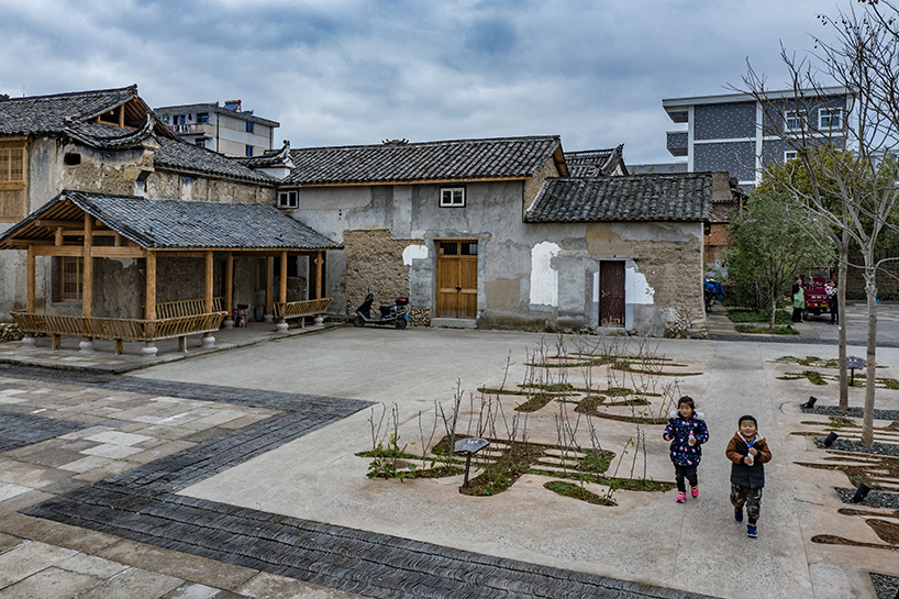 dna chinese herbal garden