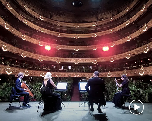 barcelona opera house reopens with a concert for more than 2,000 plants