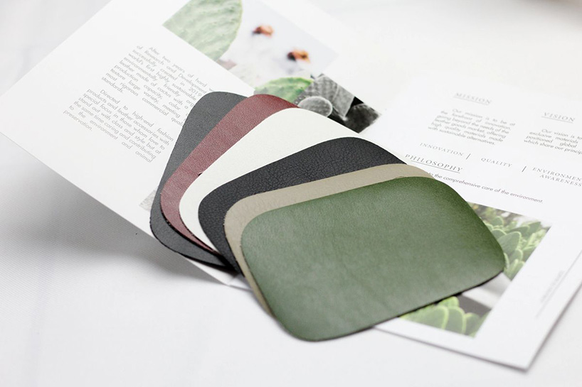 desserto, a highly sustainable plant-based vegan leather made from cactus