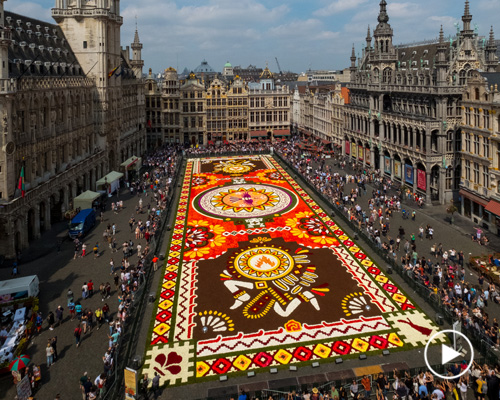 film documents the weaving of thousands of flowers into an ephemeral carpet in brussels