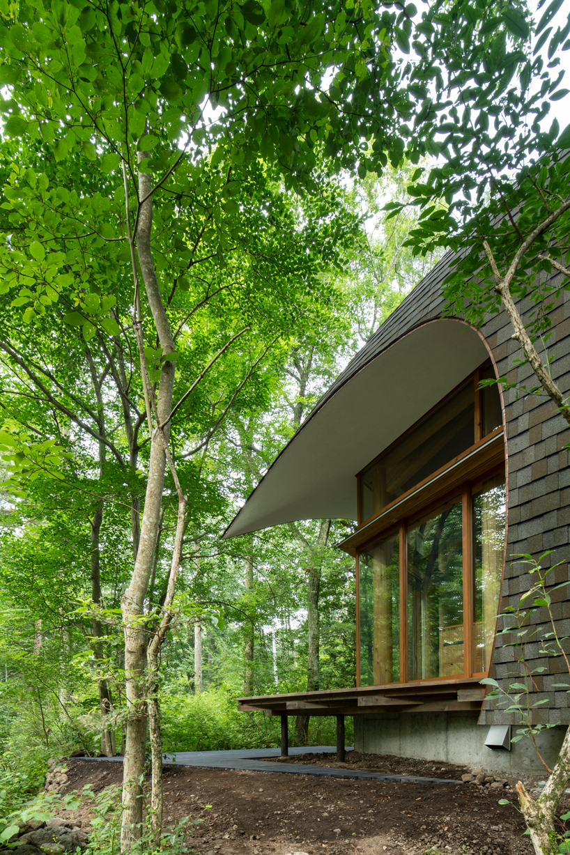 organic timber forms blend tono mirai's shell house into a japanese forest designboom