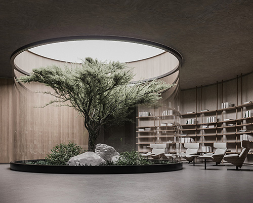 underground bunker 'plan B' features spacious living room with glass-encased tree