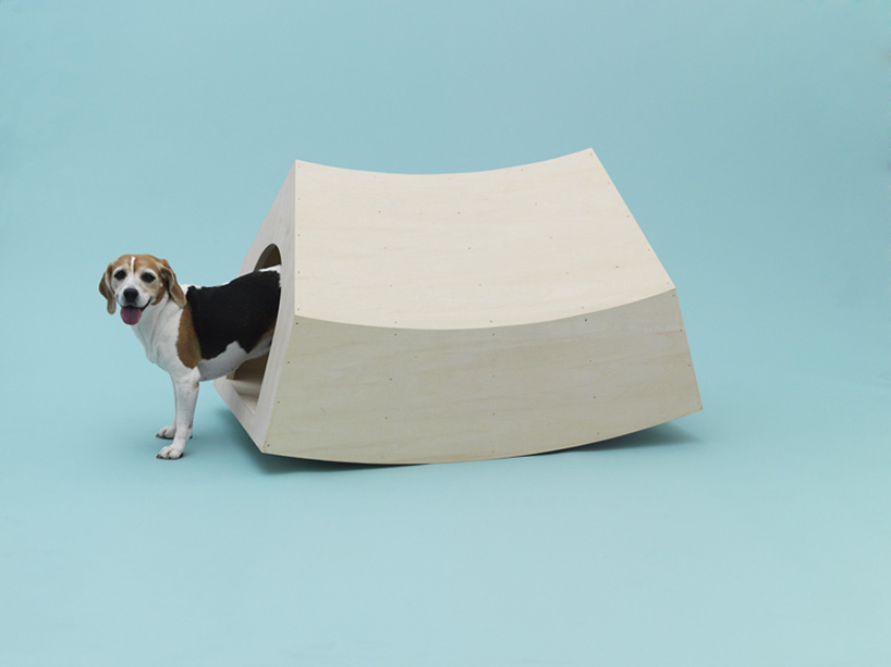 architecture for dogs exhibition goes to london