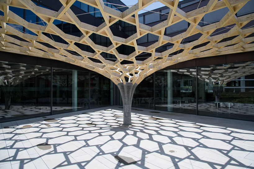 eth zurich future tree