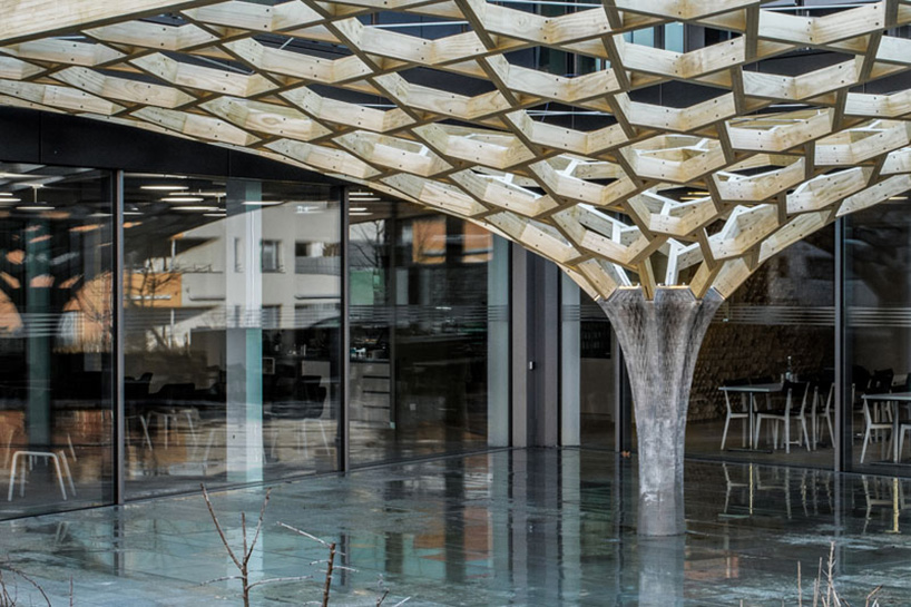 eth zurich future tree