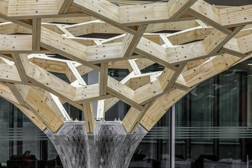 eth zurich future tree