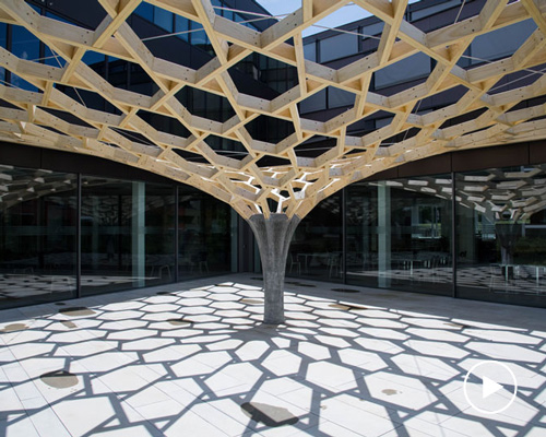 gramazio kohler research, ETH zurich plants the 'future tree' in a swiss courtyard