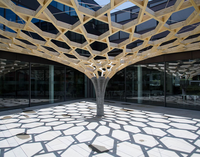 the project consists of a lightweight timber frame structure built by a