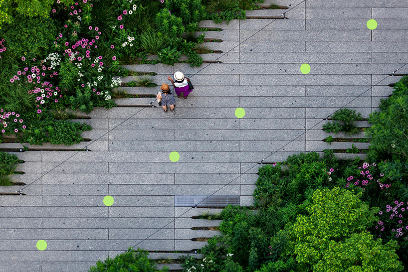 paula scher green circles