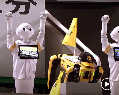 a japanese baseball team replaced fans with cheerleading robots