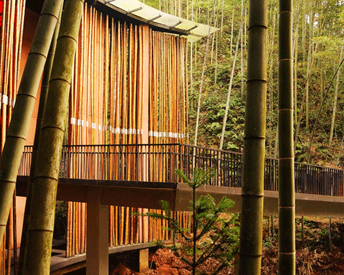 west-line studio builds dense bamboo entrance + tea pavilion within national park in china