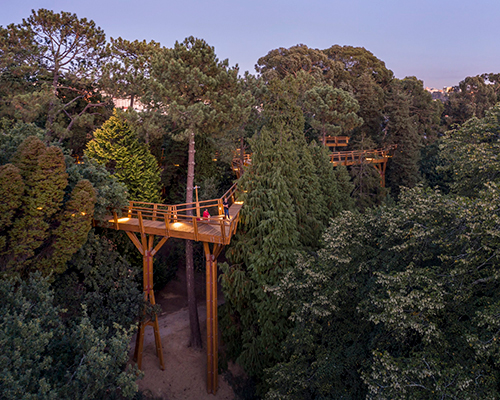 carlos castanheira elevates visitors above serralves treetops with canopy walkway