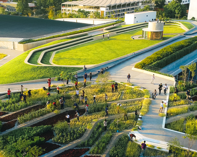LANDPROCESS completes asia's largest urban rooftop farm in thailand