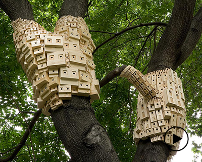 london fieldworks' dense metropolises of wooden birdhouses sprout from tree trunks
