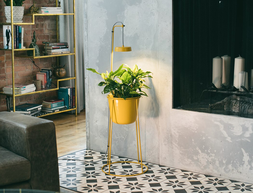 the uplift planter by modern sprout is an elevated plant stand with app-enabled grow light