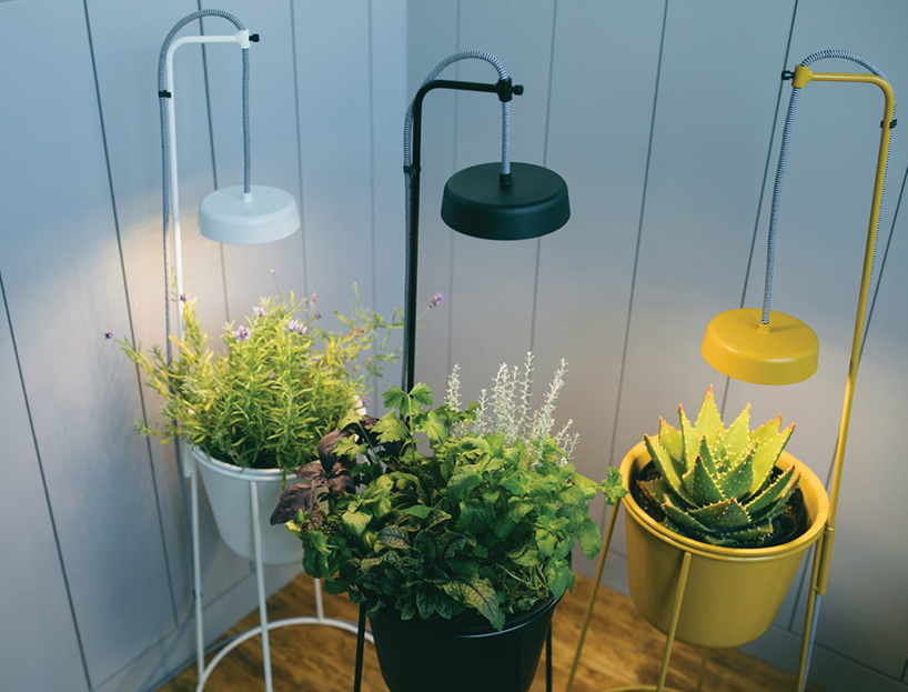 the uplift planter by modern sprout is an elevated plant stand with app-enabled grow light
