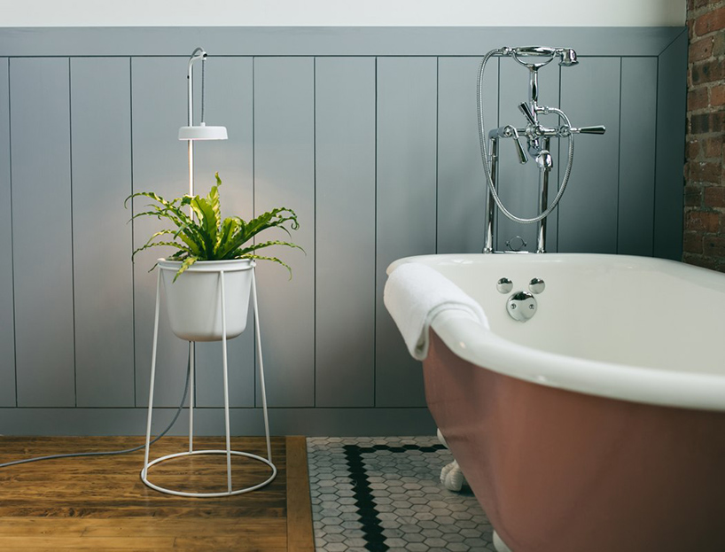 the uplift planter by modern sprout is an elevated plant stand with app-enabled grow light